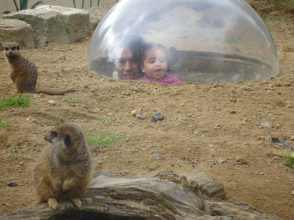 6 Oct zoo 4.jpg